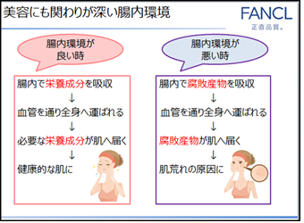 美容にも関わりが深い腸内環境
