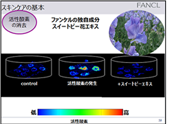 スキンケアの基本