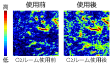 使用前使用後